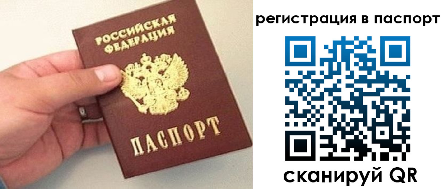 прописка законно в Суровикино